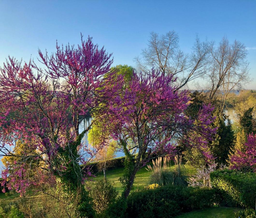 La Suite A Chateau Franc Daut Saint-Magne-de-Castillon Экстерьер фото
